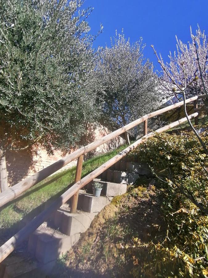 Casa Graziella- Appartamenti Vacanze 포르타코마로 외부 사진